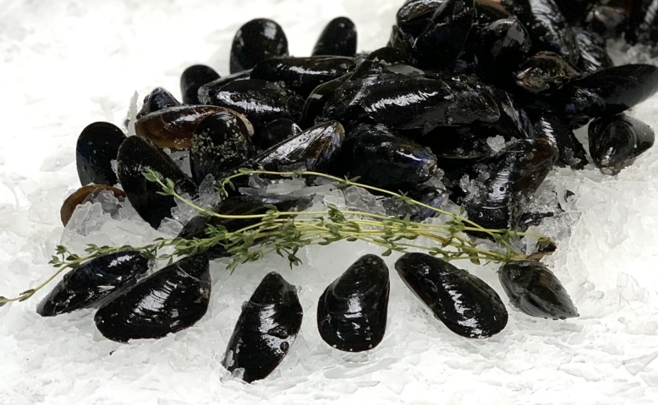 Prince Edward Island Mussels